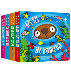 《宝宝的奇妙洞洞书》（全4册）