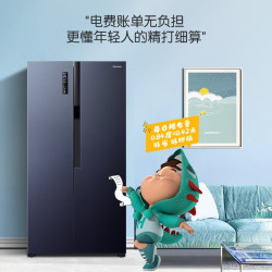 Hisense 海信 BCD-451WFK1DPQ 对开门冰箱 451L