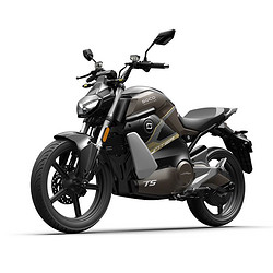 SOCO 速珂 TS2021 新款智能锂电跨骑电动摩托车 锂电池电瓶车