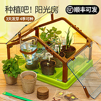 科达鸭儿童种植吧阳光房玩具小学生科学实验套装手工diy制作材料 阳光房-基础款【含种植房+3款种子+种植工具】