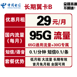 CHINA TELECOM 中国电信 电信5G流量卡 长期翼卡B 29包95G全国流量不限速，永久套餐