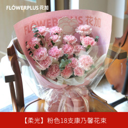 花加鲜花绿植 Flowerplus 花加 母亲节鲜花 Flowerplus花加母亲节主题花送妈妈精美礼物康乃馨鲜花手提盒母亲节混合礼品花束 花加鲜花绿植 Flowerplus 花加 母亲节鲜花 Flowerplus花加母亲节主题花送妈妈精美礼物康乃馨鲜花手提盒母亲节混合礼品花束