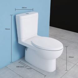 KOHLER 科勒 K-22746T 齐悦分体马桶 305mm