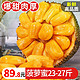 寻味君 海南黄肉菠萝蜜 整个 热带三亚木菠萝当季新鲜水果 23-27斤