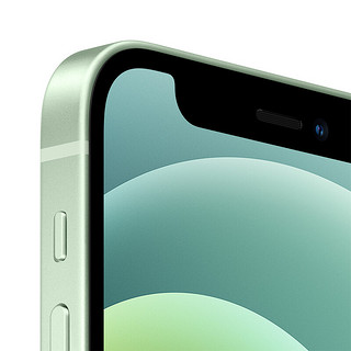 Apple 苹果 iPhone 12 mini系列 A2400国行版 5G手机 256GB 绿色