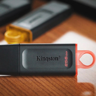 Kingston 金士顿 DTX USB 3.2 U盘 黑色 64GB USB-A 定制款