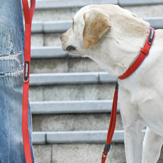 DOGNESS 多尼斯 狗狗牵引绳遛狗绳狗链子项圈小中型犬泰迪柯基法斗博美马犬 红M