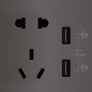 Schneider Electric 施耐德电气 AvatarOn绎尚系列 E83426102USB_SL 五孔带双USB插座 荧光灰色