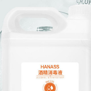HANASS 海纳斯 酒精消毒液 2.5L*6桶
