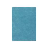 FARAMON 法拉蒙 FLM-RMC 1572 纸质笔记本 B5 240页 海藻绿 单本装