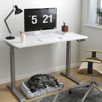 FitStand F2 电动升降桌 雅白+银灰色 1.2*0.6m