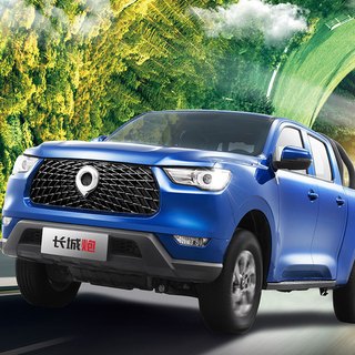 Great Wall Motors 长城汽车 炮 21款 商用版 2.0T 自动 四驱 小双 旗舰型 柴油