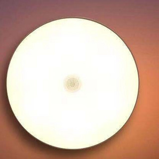 QIFAN 启梵 LED小夜灯 1200mAh 黄光+白光 两个装 五倍电量款