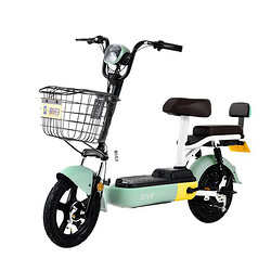 sunra新日新国标电动车tdt4880z