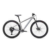 SPECIALIZED 闪电 ROCKHOPPER EXPERT 山地自行车 锻造银/全息色 29英寸 12速 S