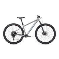 SPECIALIZED 闪电 ROCKHOPPER EXPERT 山地自行车 锻造银/全息色 29英寸 12速 L