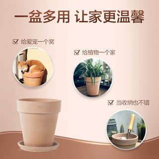 虹越帝罗马红陶花盆陶瓷大号家用特大号客厅陶土花盆北欧简约盆（白陶色、18cm）