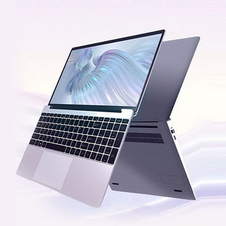 HEXIEHAO 和谐号 W041 15.6英寸商务办公手提轻薄笔记本电脑2022新