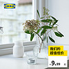 IKEA 宜家PADRAG普德拉格花瓶透明玻璃水培花瓶 花瓶