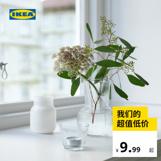 Ikea 宜家padrag普德拉格花瓶透明玻璃水培花瓶花瓶 报价价格评测怎么样 什么值得买