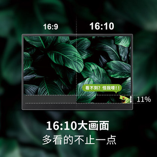 LG 乐金 gram扩展屏 16英寸 便携式显示器 便携屏 16:10大画面 高色域 防眩光 外接显示屏