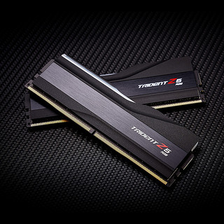 G.SKILL 芝奇 Trident Z5 RGB 幻锋戟系列 DDR5 5600MHz RGB 台式机内存 灯条 黯雾黑 32GB 16GBx2 F5-5600J4040C16GX2-TZ5RK