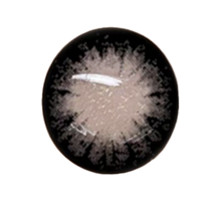 honey party 年抛/半年抛大美目黑14.5 两片装 450