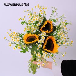 花加鲜花绿植 Flowerplus 花加云南直发百合花材办公室向日葵花束 下单后7天内发货 向日葵3枝 洋甘菊1扎多少钱 什么值得买