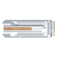 GALAXY 影驰 名人堂 HOF PRO NVMe M.2 固态硬盘 1TB（PCI-E4.0）