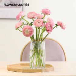 花加鲜花 Flowerplus 花加向日葵鲜花玫瑰花洋甘菊云南直发昆明基地花束批发多少钱 什么值得买