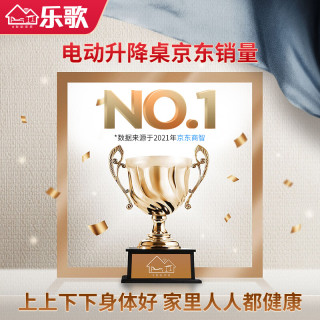 乐歌(Loctek)E1-T灰胡桃木色椭圆桌腿升降桌1.4m套装 呵护腰椎站立办公电动升降学习桌亲子桌电脑桌办公桌