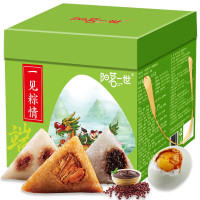 移动端、京东百亿补贴：阳茗一世 一见粽情粽子礼盒 8口味+2枚咸鸭蛋 1060g