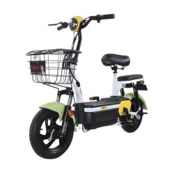 五星钻豹 新国标电动折 A4 48V20AH