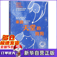 来自天堂的狗狗/魔法象