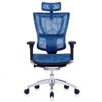 Ergonor 保友办公家具 优旗舰版 人体工学电脑椅 蓝色