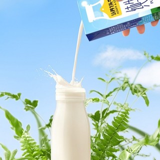 ADOPT A COW 认养一头牛 3.3g蛋白质 纯牛奶 250ml*20盒