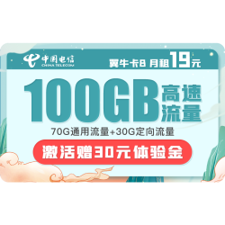 CHINA TELECOM 中国电信 翼牛卡 月租19元 （70G通用流量、30G定向流量）