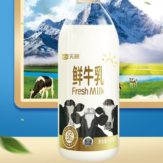TERUN 天润 3.6g蛋白质 鲜牛乳 950ml
