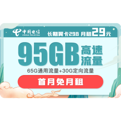 CHINA TELECOM 中国电信 长期翼卡B 29元月租（65G通用、30GB专属）