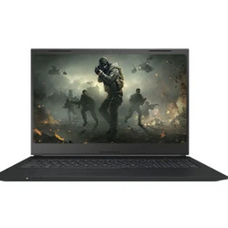 FIREBAT 火影 T5C 15.6英寸笔记本电脑（i5-10400、16GB、512GB、GTX1650）