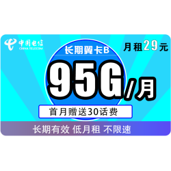 CHINA TELECOM 中国电信 5G 长期翼卡B 29元月租 （65GB通用+30GB专属） 送30话费