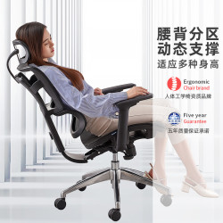 SITZONE 精壹 DS-362 人体工学椅 标准版