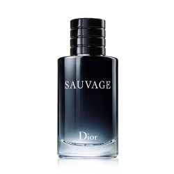 Dior 迪奥 旷野男士淡香水 EDT 60ml