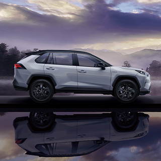 TOYOTA 一汽丰田 RAV4荣放 22款 2.0L CVT 四驱 风尚PLUS版