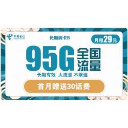 CHINA TELECOM 中国电信 长期翼卡 29元月租（65GB通用流量、30GB定向流量）
