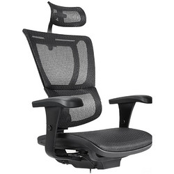 Ergonor 保友办公家具 优B 人体工学电脑椅 黑色 高配版