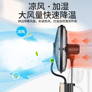 林边 喷雾电风扇落地扇大风力家用静音遥控摇头加冰加湿降温大风力水冷雾化扇  伯爵黑16寸