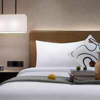 宜致酒店(广州珠江新城岗顶地铁站店)宜致豪华大/双床房