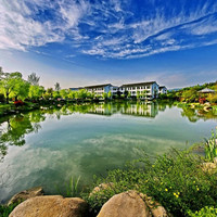 九华山五溪山色大酒店悦景大床房