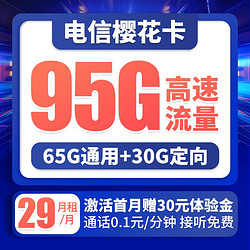 CHINA TELECOM 中国电信 樱花卡 29元/月（65GB通用流量、30GB专属流量） 长期套餐